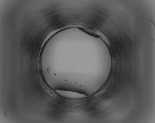 X0000093091052200710171133