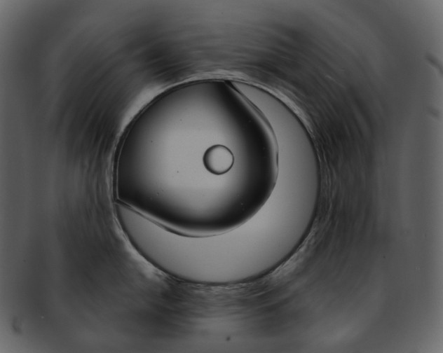 X0000093091054200710171133