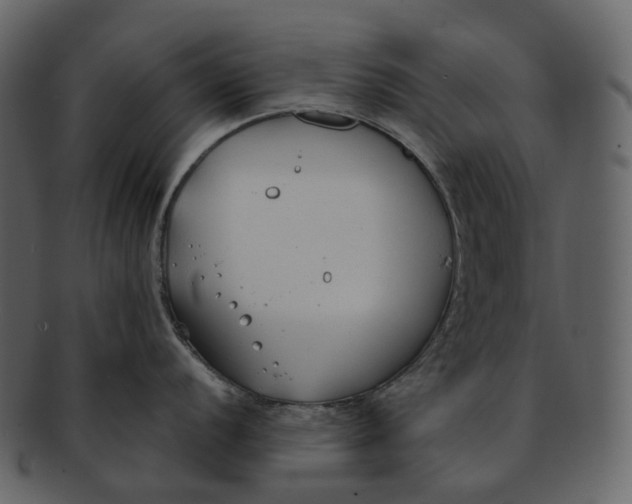 X0000093091056200710171133