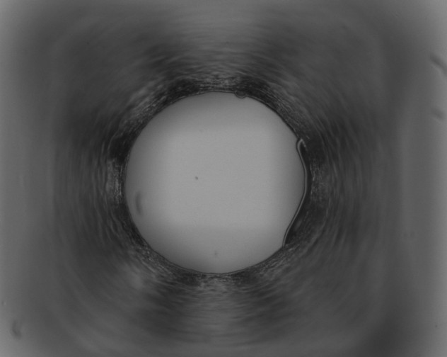 X0000093091058200710171133