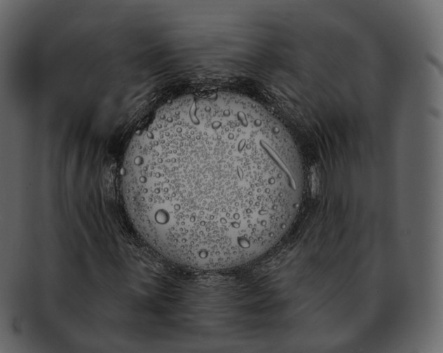 X0000093091059200710171133