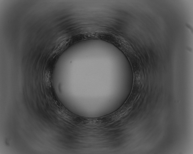 X0000093091060200710171133