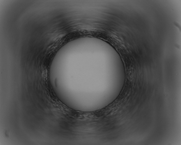 X0000093091061200710171133