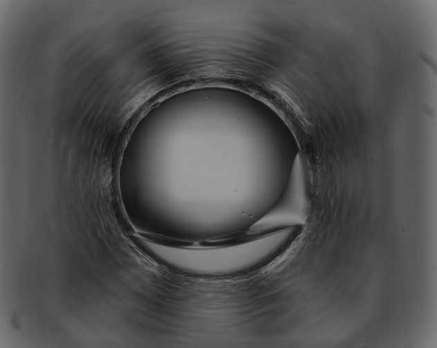 X0000093091065200710171133