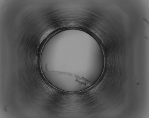 X0000093091066200710171133