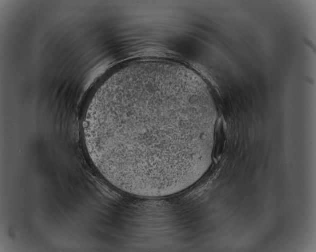 X0000093091067200710171133