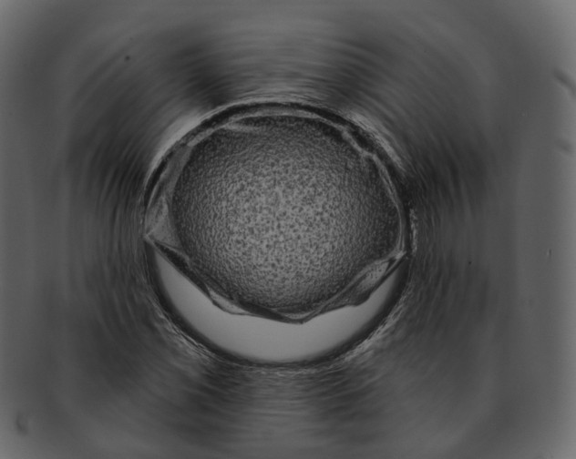 X0000093091069200710171133