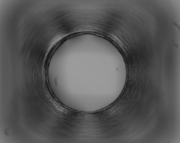 X0000093091072200710171133