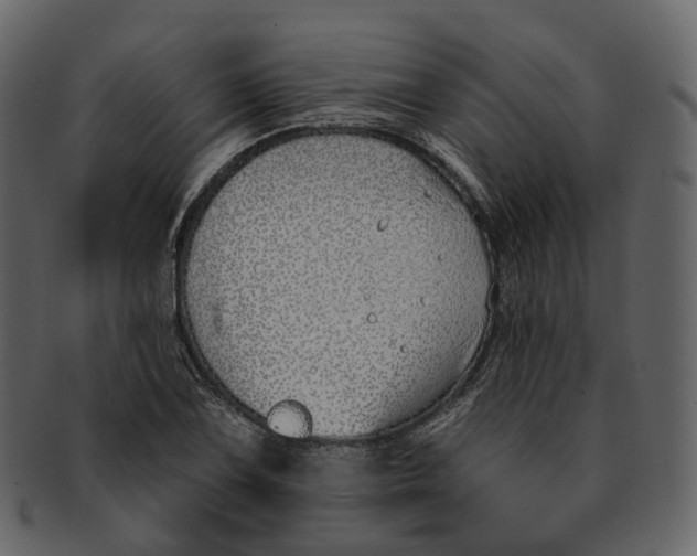 X0000093091075200710171132