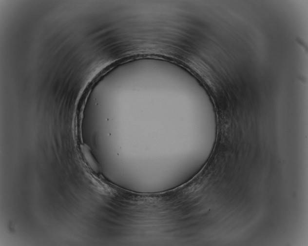 X0000093091076200710171132