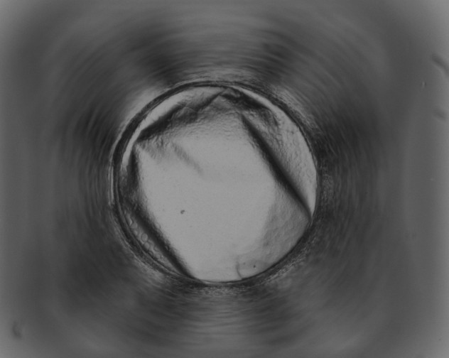 X0000093091079200710171132