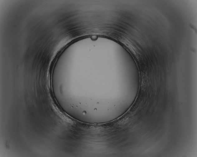 X0000093091080200710171132