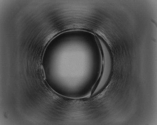 X0000093091081200710171132