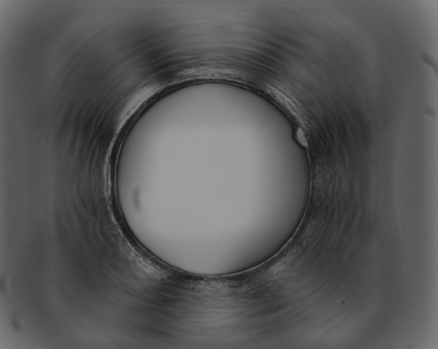 X0000093091082200710171132