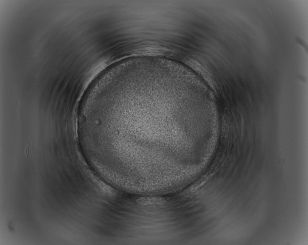 X0000093091083200710171132