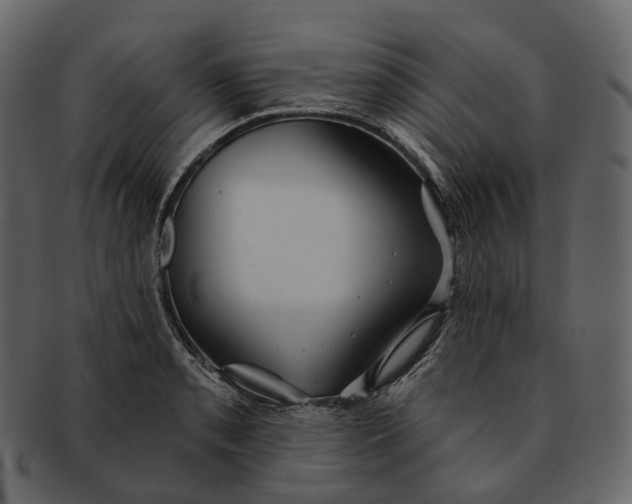 X0000093091085200710171132