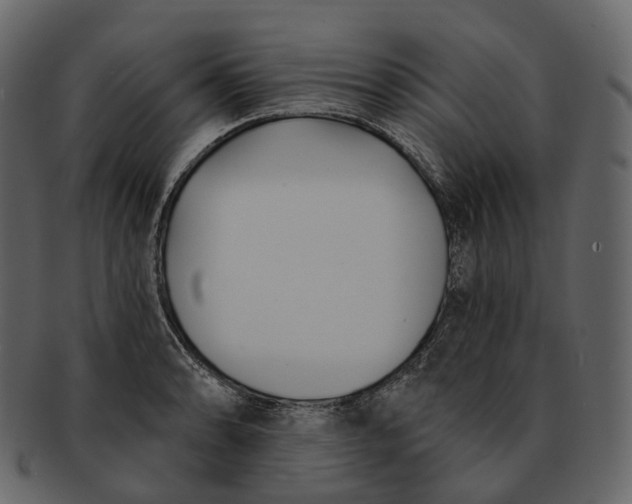 X0000093091086200710171132