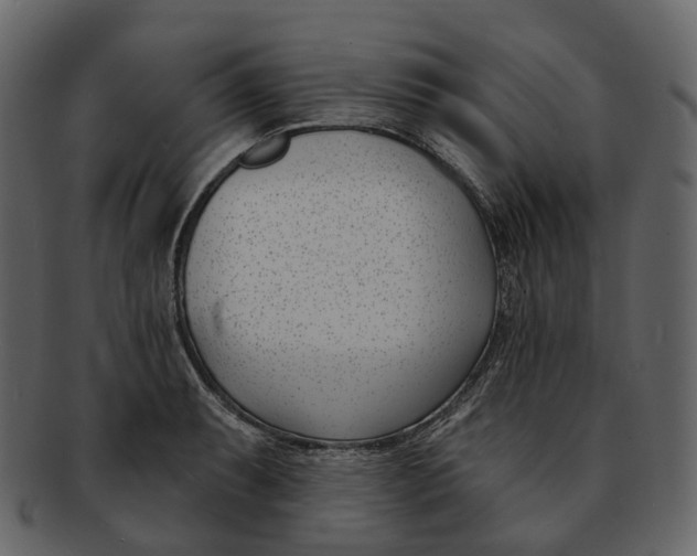 X0000093091087200710171132