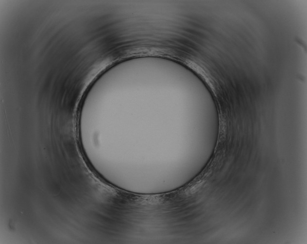 X0000093091090200710171132