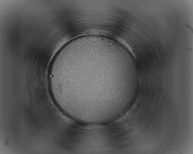 X0000093091091200710171132