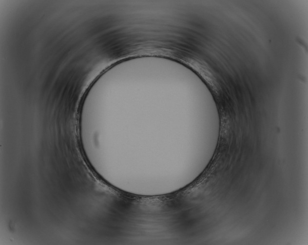 X0000093091094200710171132