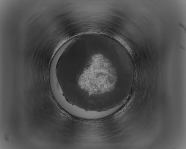 X0000093091097200710171132