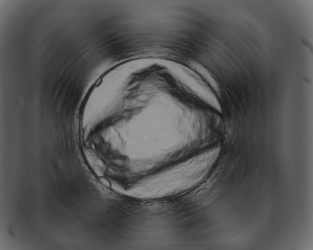 X0000093091099200710171132