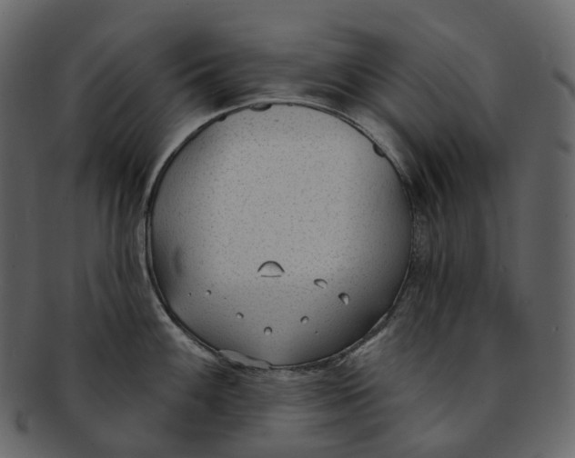 X0000093091100200710171132