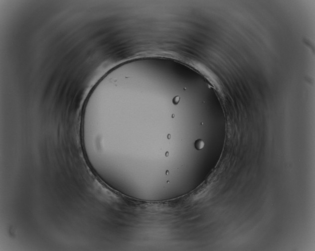 X0000093091102200710171132