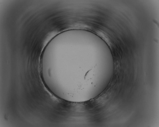 X0000093091103200710171132