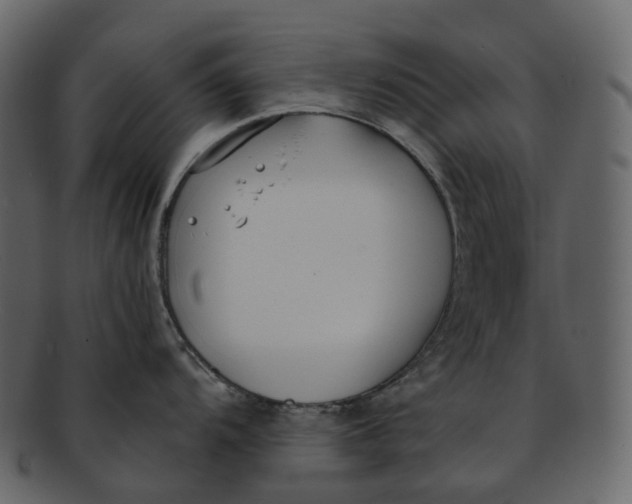 X0000093091104200710171132