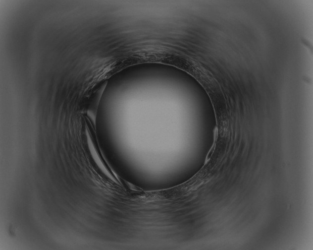 X0000093091108200710171131