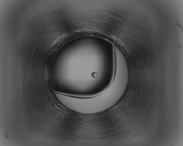 X0000093091110200710171131