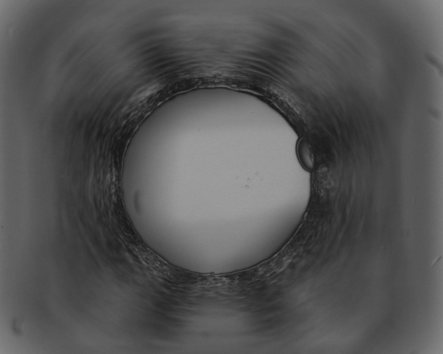 X0000093091111200710171132