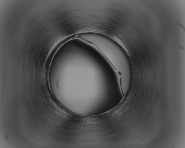 X0000093091116200710171132