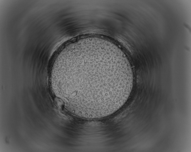 X0000093091117200710171132