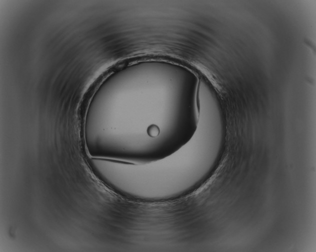 X0000093091118200710171132