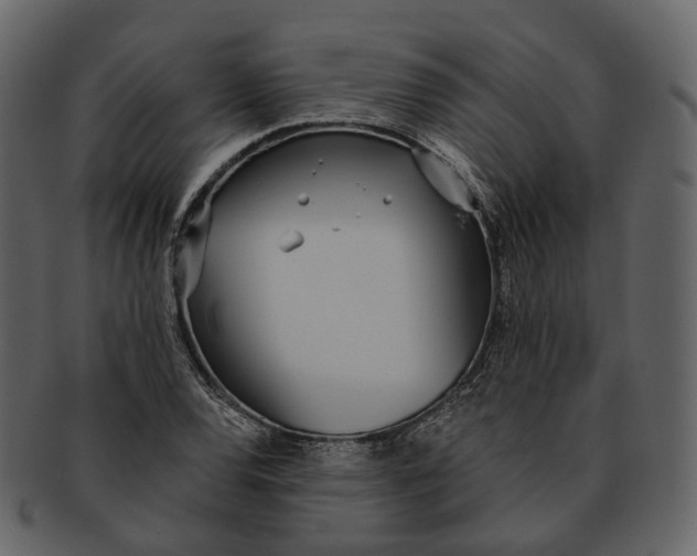 X0000093091120200710171132