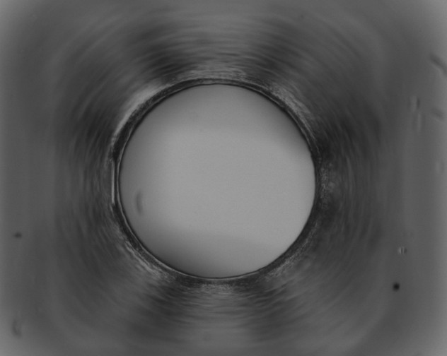 X0000093091123200710171132