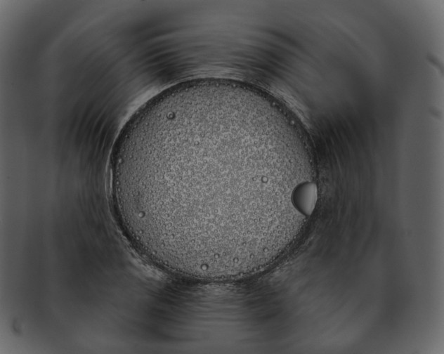 X0000093091125200710171132