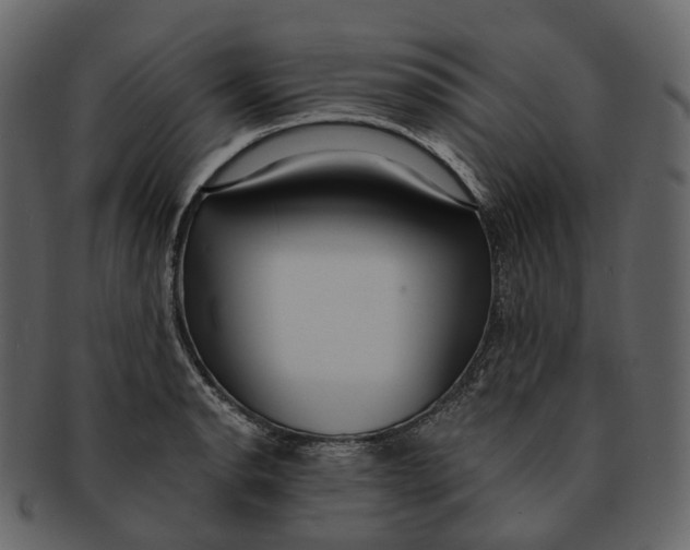 X0000093091134200710171132