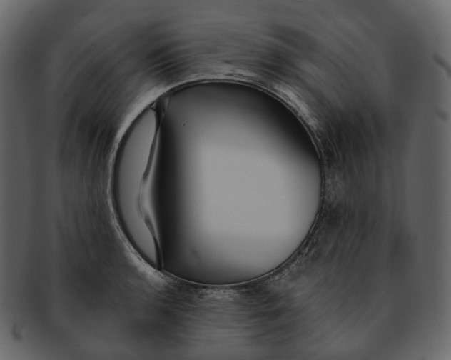 X0000093091136200710171132