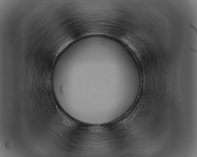 X0000093091137200710171132