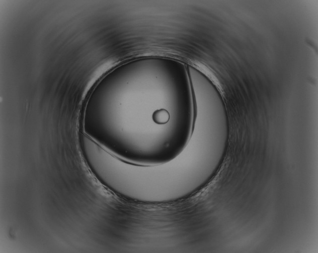 X0000093091138200710171132