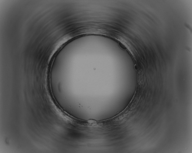 X0000093091139200710171132