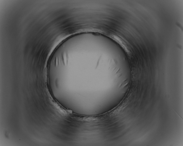 X0000093091140200710171132