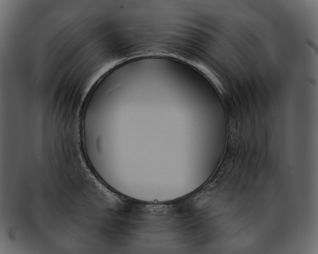 X0000093091142200710171132