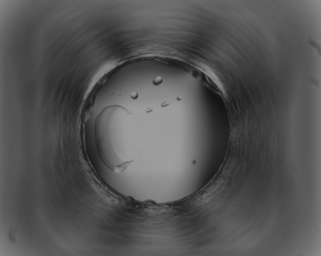 X0000093091146200710171132