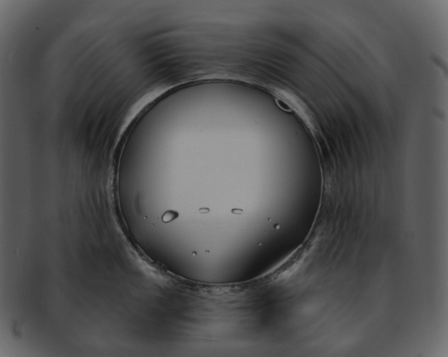 X0000093091149200710171132