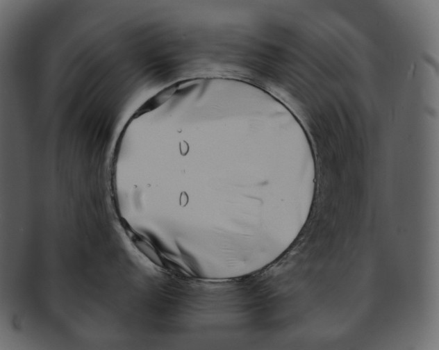 X0000093091152200710171132